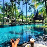 Отзыв от Арина - Visa DTV